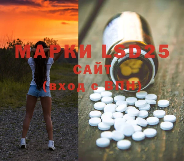 шишки Абинск