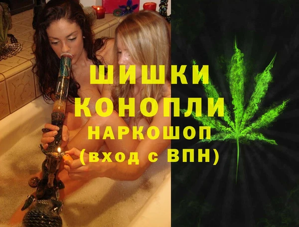 шишки Абинск